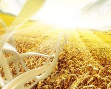 �V��Ƭ���������ѿص��c