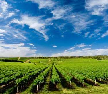 ��I����Ƭ�ĺ��m����Ҫ�_�����I