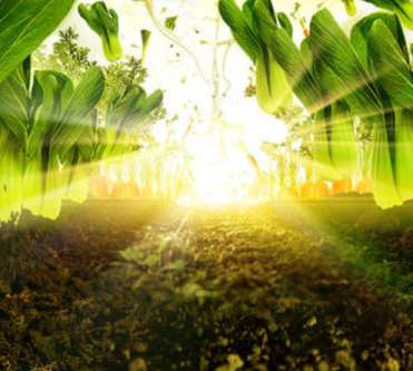 ����͸�����V��Ƭ���O(sh��)Ӌ(j��)