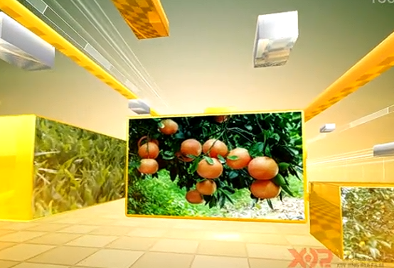 ��I����Ƭ���ڹ�˾�lչ�����x